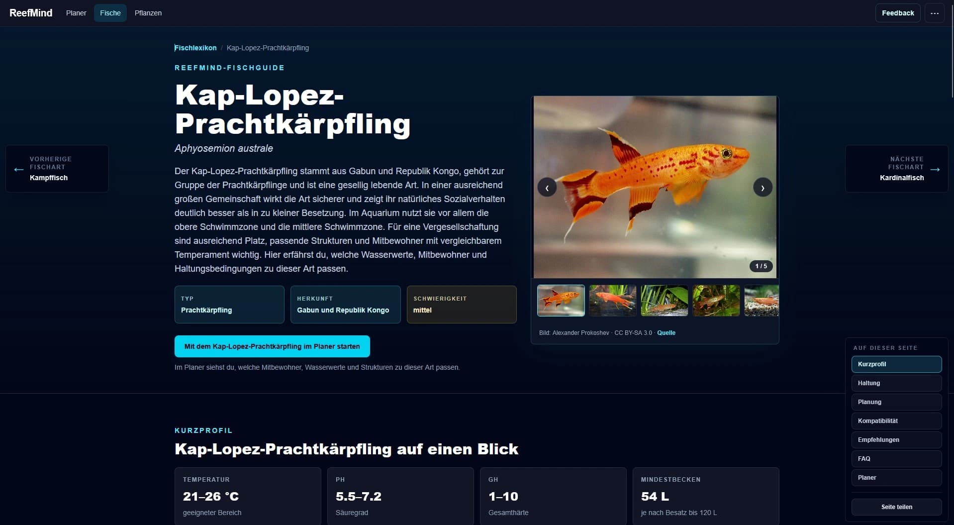 ReefMind-Fischdetailseite mit Artbild, Kurzprofil und Planungshinweisen