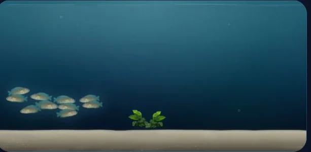 Bepflanztes 100-Liter-Aquarium mit Vielgestreifter Schneckenbuntbarsch